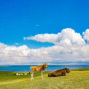 Outdoor Adventures in Kyrgyzstan