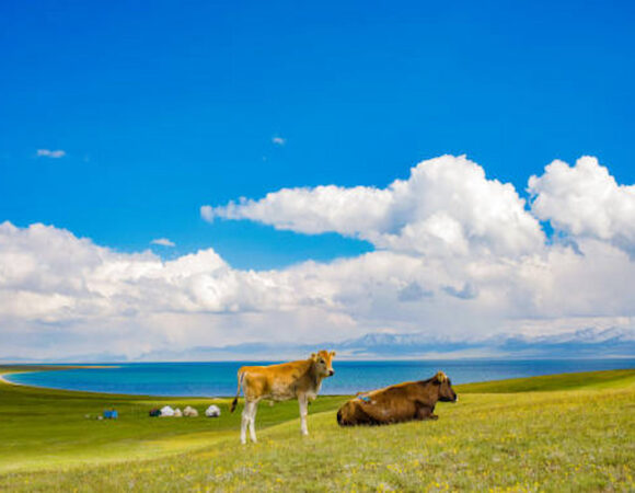 10 Outdoor Adventures in Kyrgyzstan 