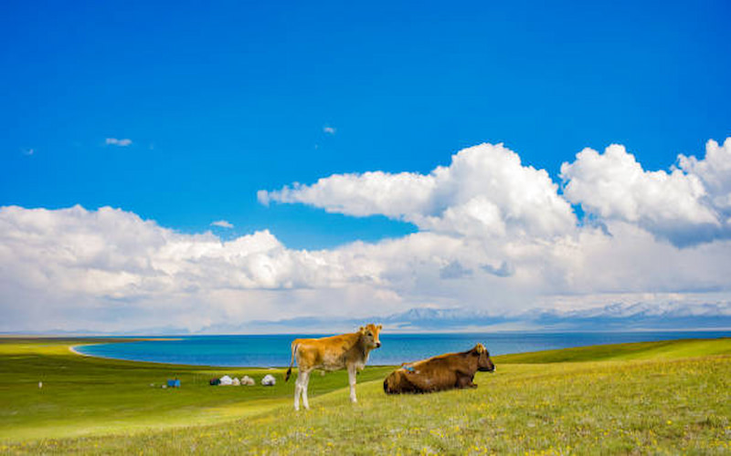 Outdoor Adventures in Kyrgyzstan