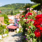 Villages in Turkey