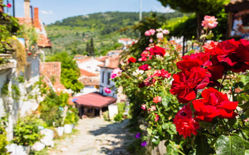 Villages in Turkey