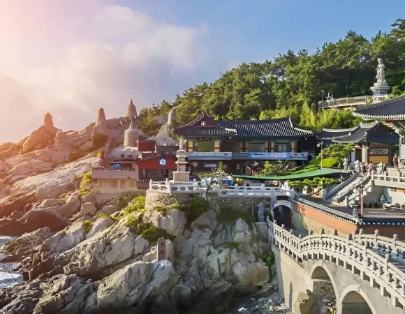 How to Get a South Korea Visa from India: Step-by-Step Guide