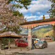 Attractions in Darjeeling and Gangtok